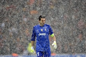 乐鱼官方登录入口-未来之星：新秀成长为季后赛最亮眼的明星！，未来之星比赛怎么样